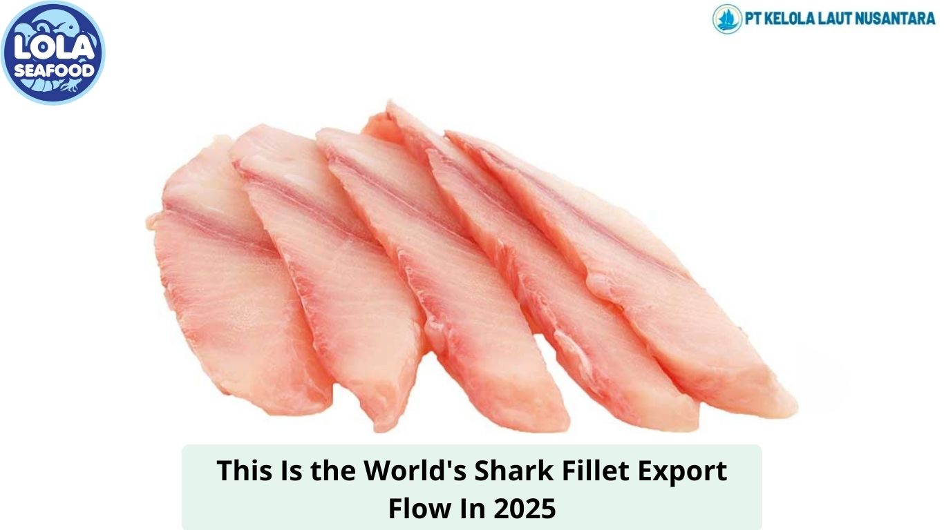 This Is the World's Shark Fillet Export Flow In 2025